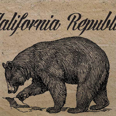 Cali Republic Vintage Surface Pro Tablet Skin